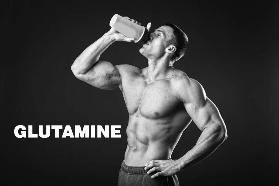 گلوتامین muscle man