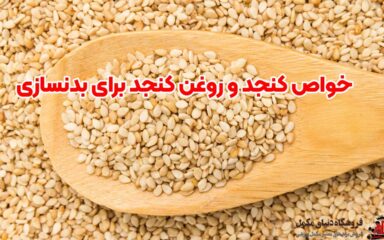 خواص کنجد و روغن کنجد برای بدنسازی