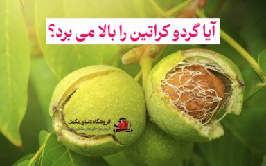 آیا گردو کراتین را بالا می برد؟