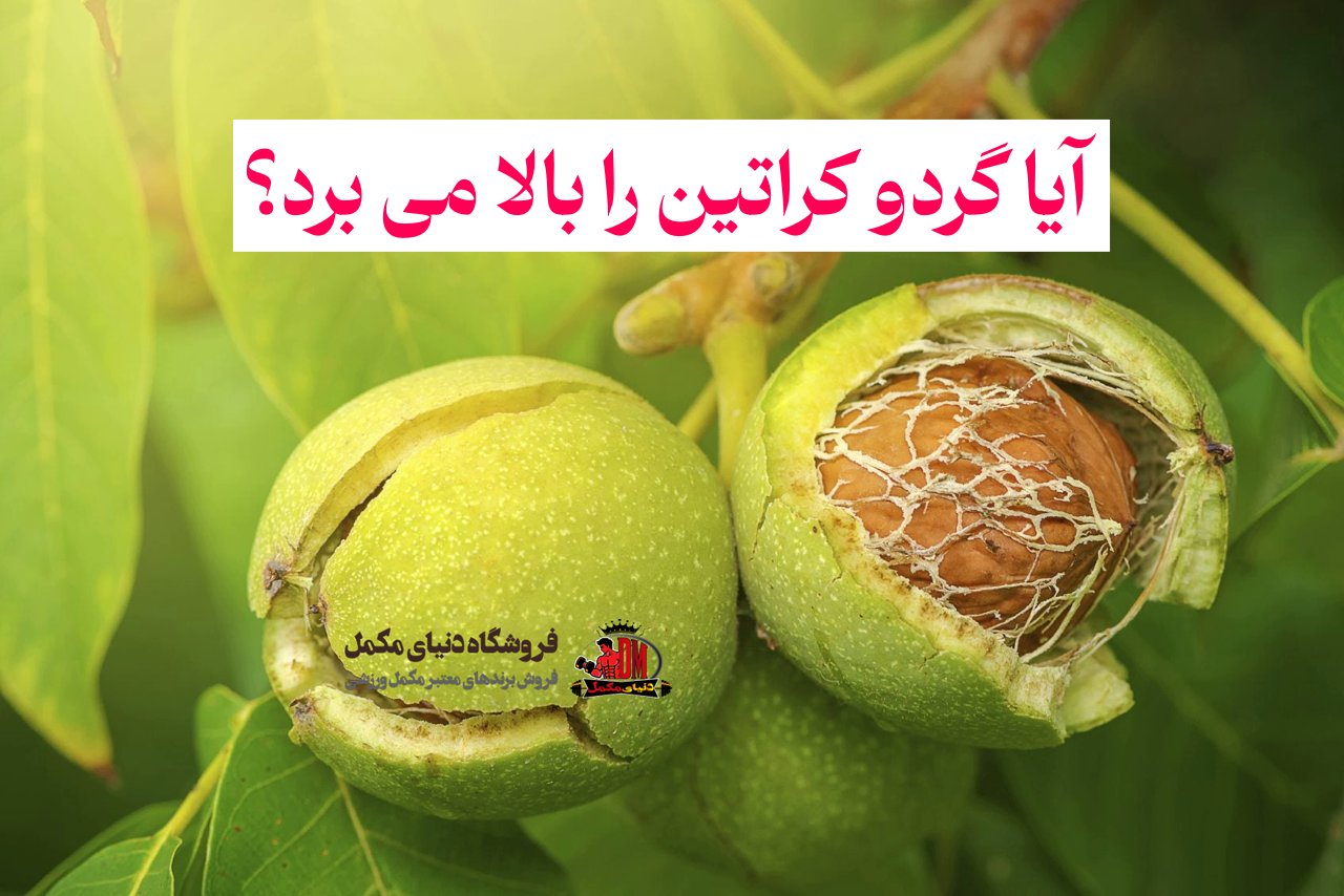 آیا گردو کراتین را بالا می برد؟