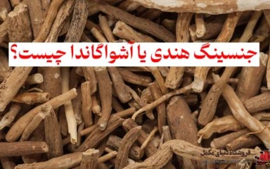 جنسینگ هندی یا آشواگاندا چیست؟