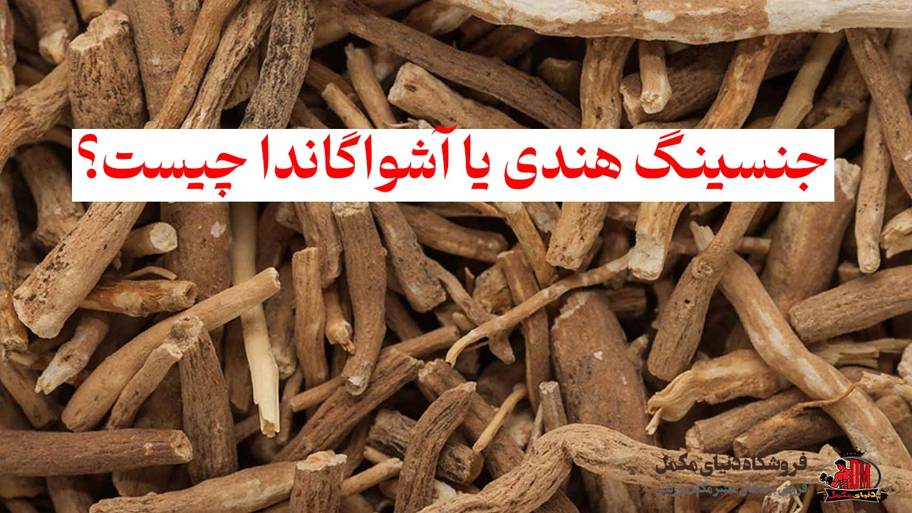 جنسینگ هندی یا آشواگاندا چیست؟