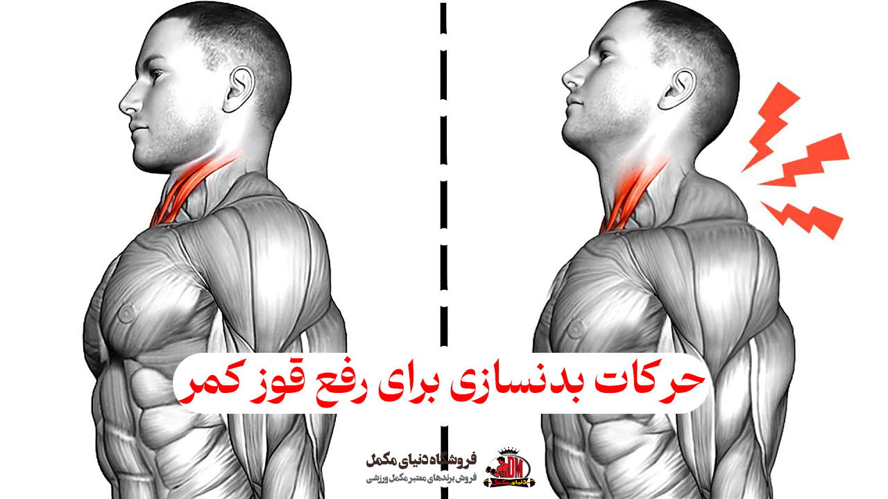 حرکات بدنسازی برای رفع قوز کمر