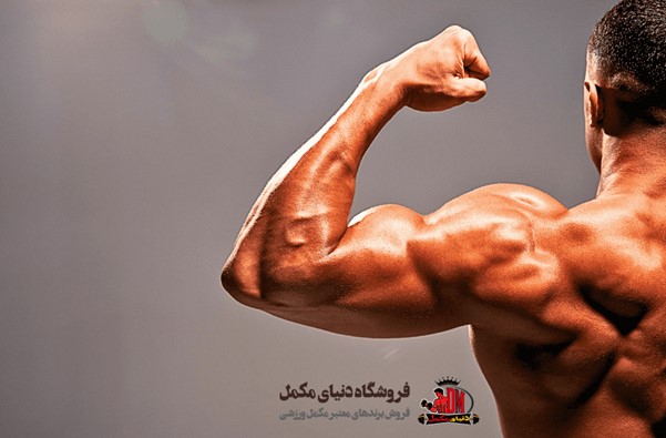 افزایش توده عضلانی با پپتیدها