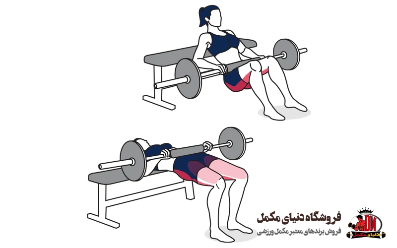 هیپ تراست چیست؟ آموزش انواع حرکات هیپ تراست حرفه‌ای - دنیای مکمل ...