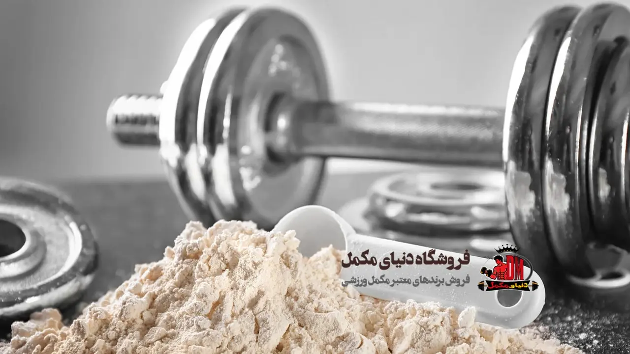 جایگزین‌های طبیعی برای پروتئین وی