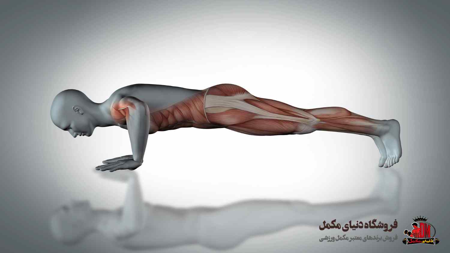 معایب و چالش‌های فیزیک ماسکولار