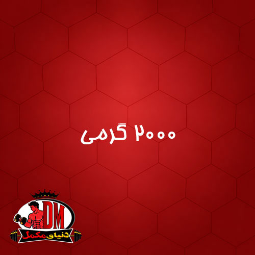 وی پروتئین ای اس ان ۲۰۰۰ گرمی
